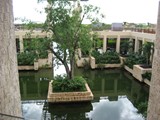 IMG_0661